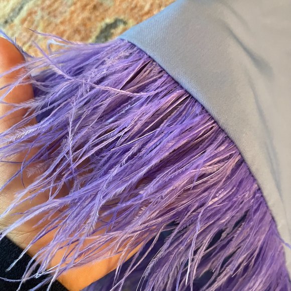 NWT - Danielle Guizio Feather Trimmed Mini Skirt - Periwinkle Blue - Small - Picture 5 of 8